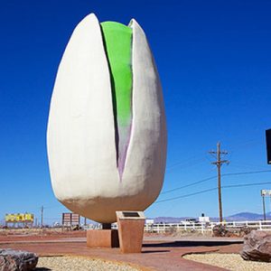 worlds largest pistachio