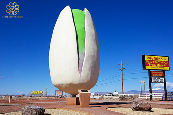 worlds largest pistachio