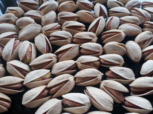 iranian pistachio