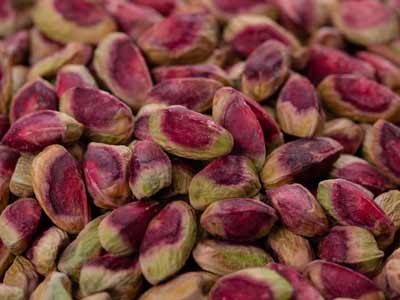 Pistachio species and uses