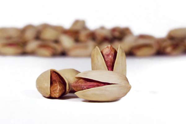 Ahmad Aghaei (long) Pistachio