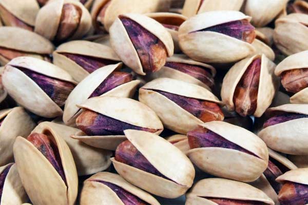 Akbari (Extra-long) Pistachio