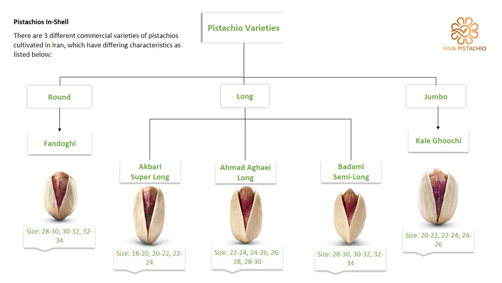 Pistachio Selection Guide