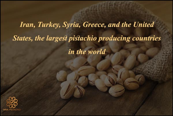 Pistachio producing countries