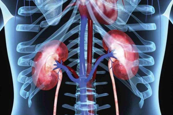 kidney problems