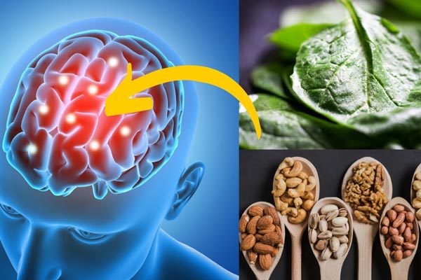 Foods affecting the brain